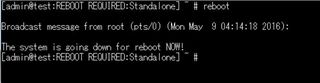 F5 BIG-IP reboot